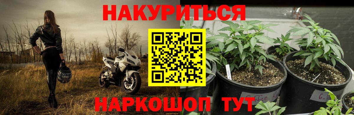 Конопля Bruce Banner  Вход с VPN  Каннабис план  Лосино-Петровский  Каннабис сатива 